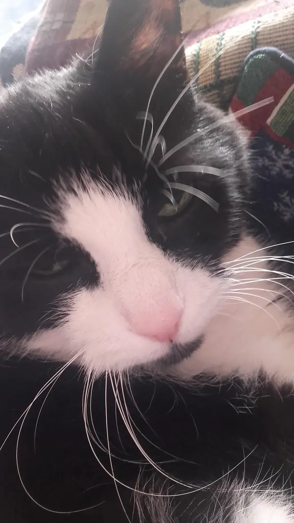 Andachtsbild von Ute