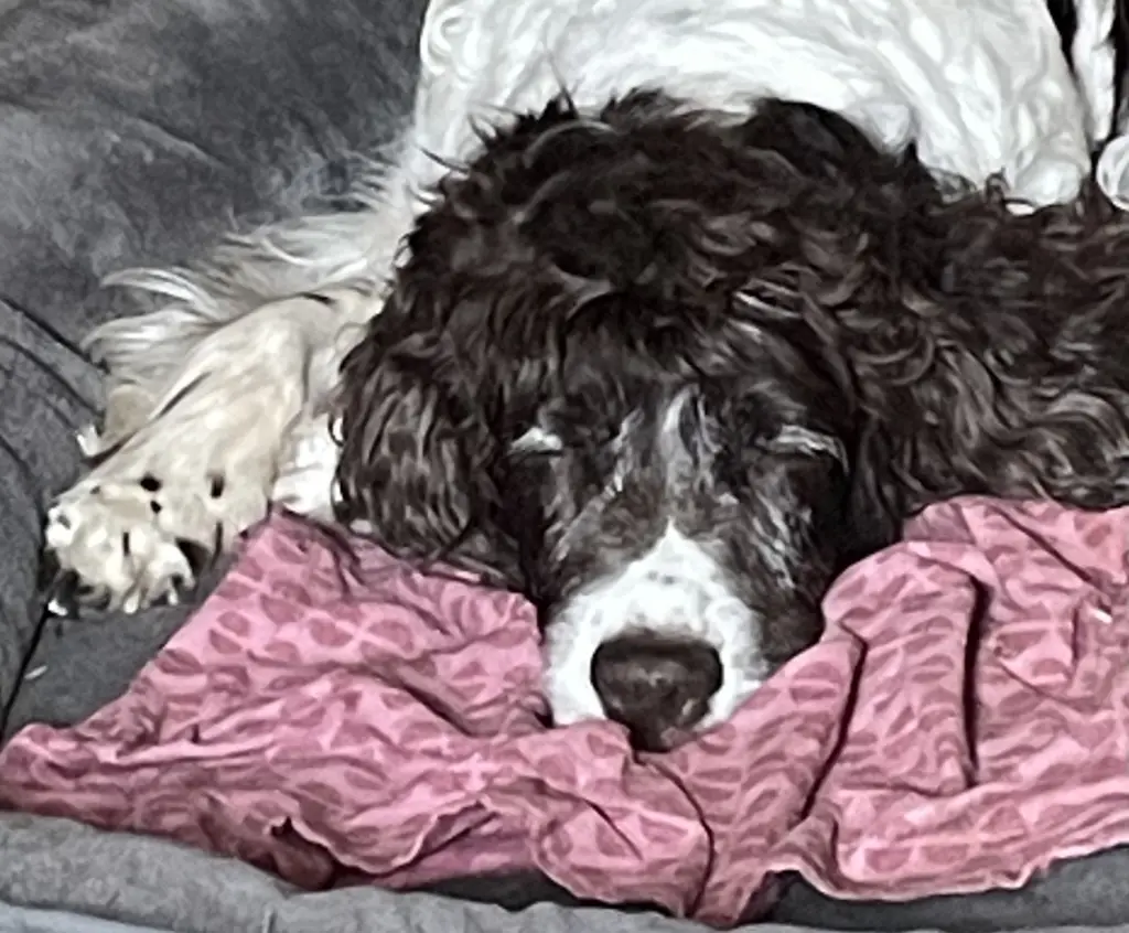 Andachtsbild von Hans und Uta Schramm