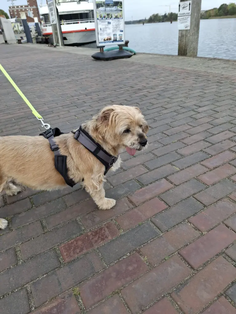 Bild von Cicco