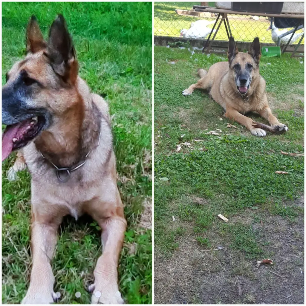 Andachtsbild von Claudia mit Tara im Herzen