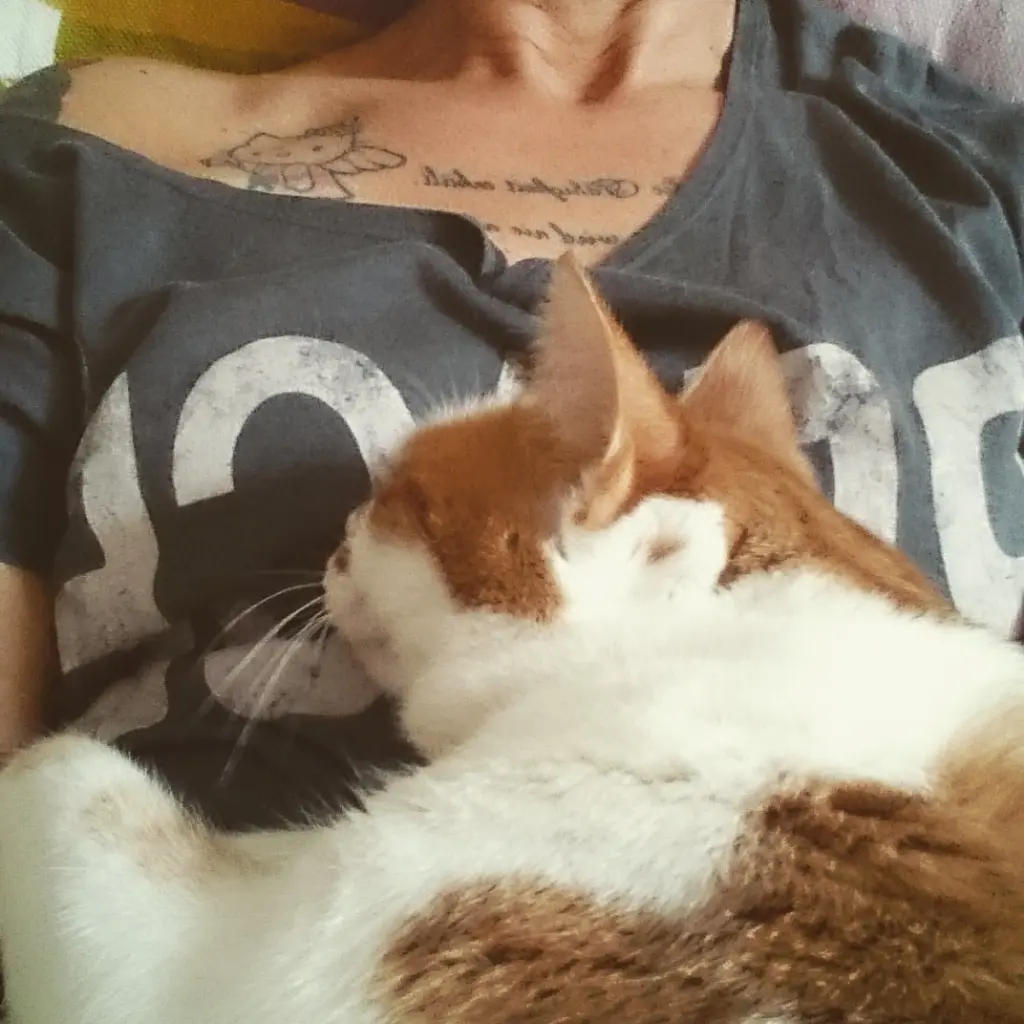 Andachtsbild von Deine Mama