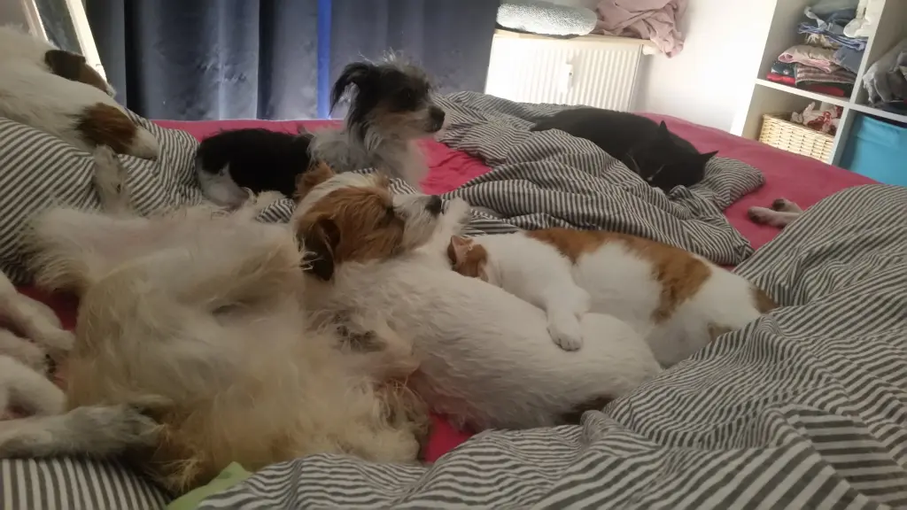 Bild von Lucky