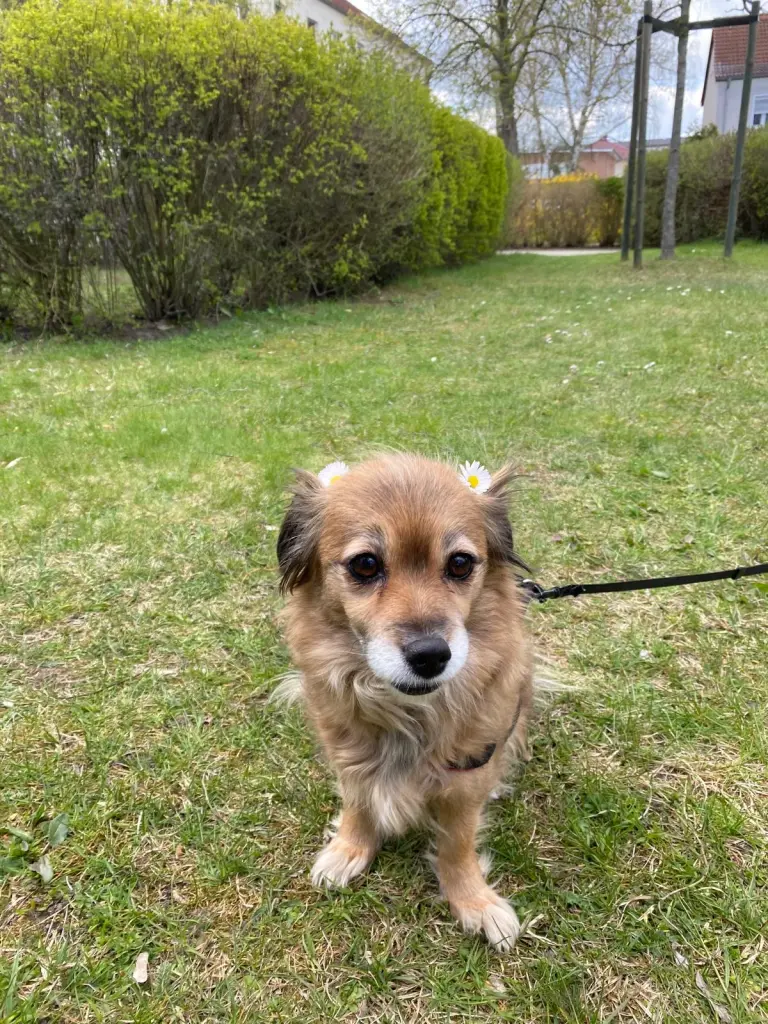 Bild von Bella
