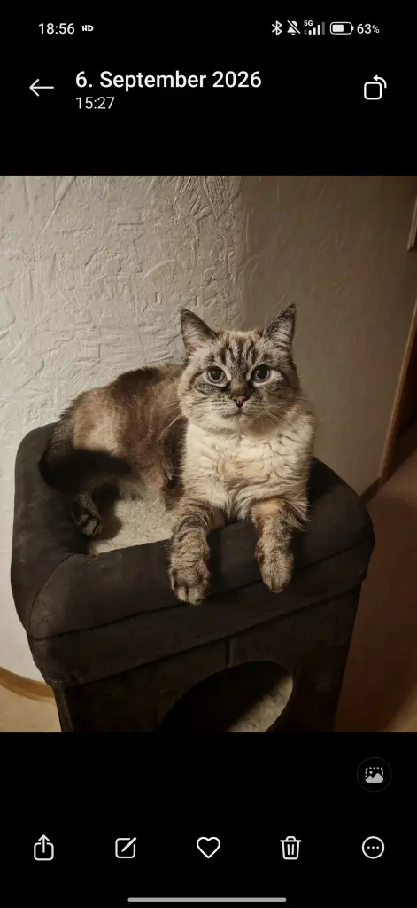 Bild von Finja
