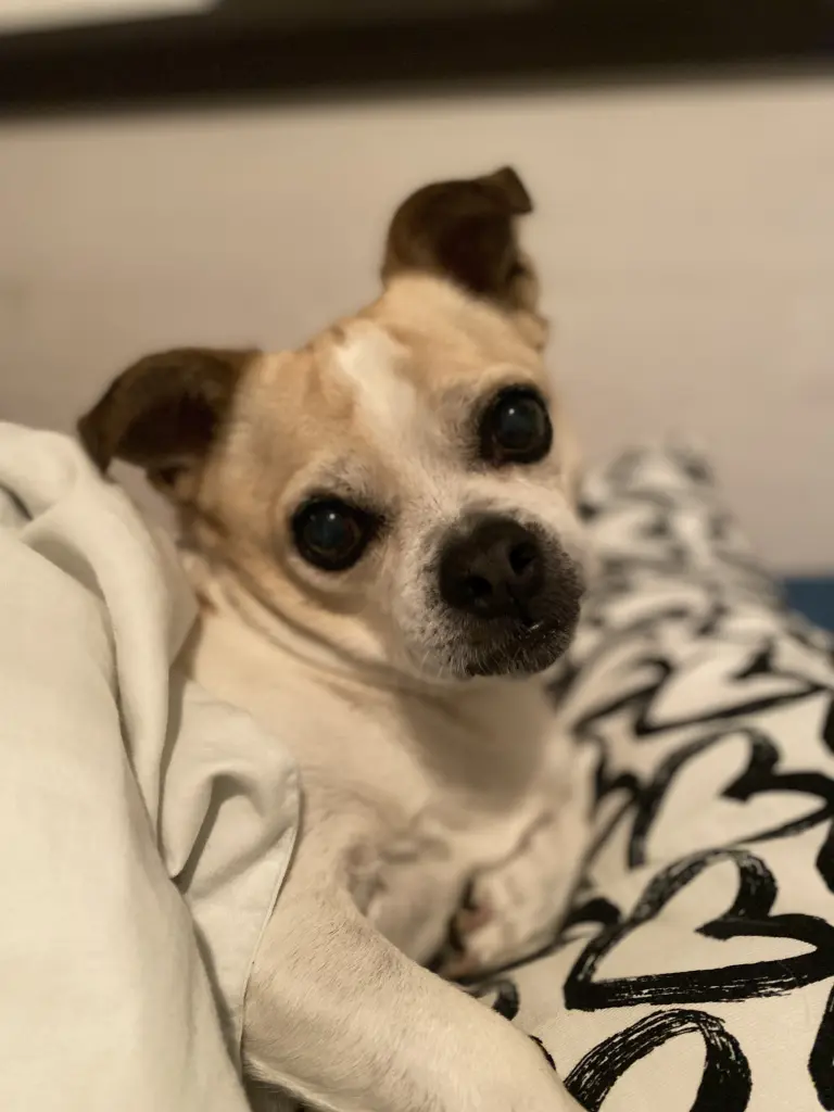 Kuscheln im Bett 🥰🫶🏼