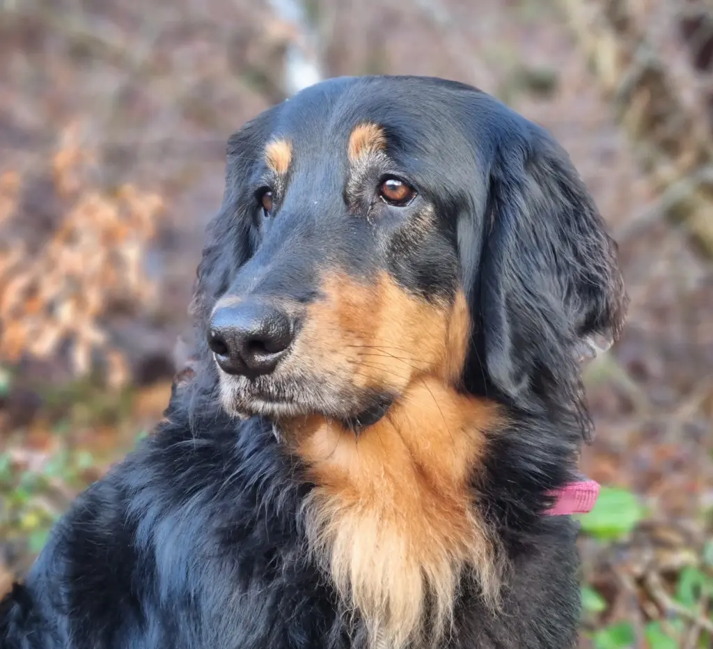 Bild von Behle