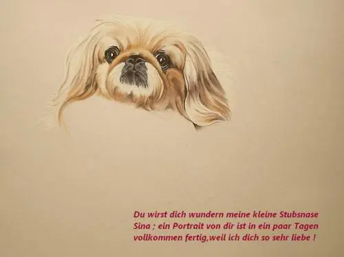 Image from ? an meine süße Stubsnase Sina ?