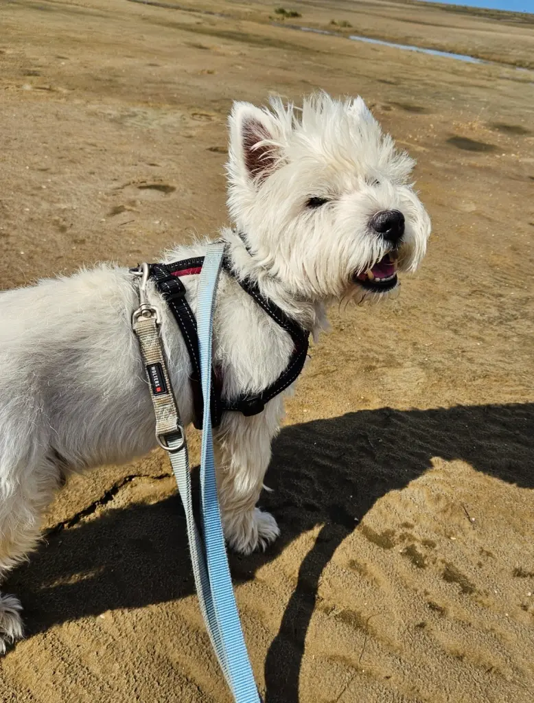 Bild von Theo
