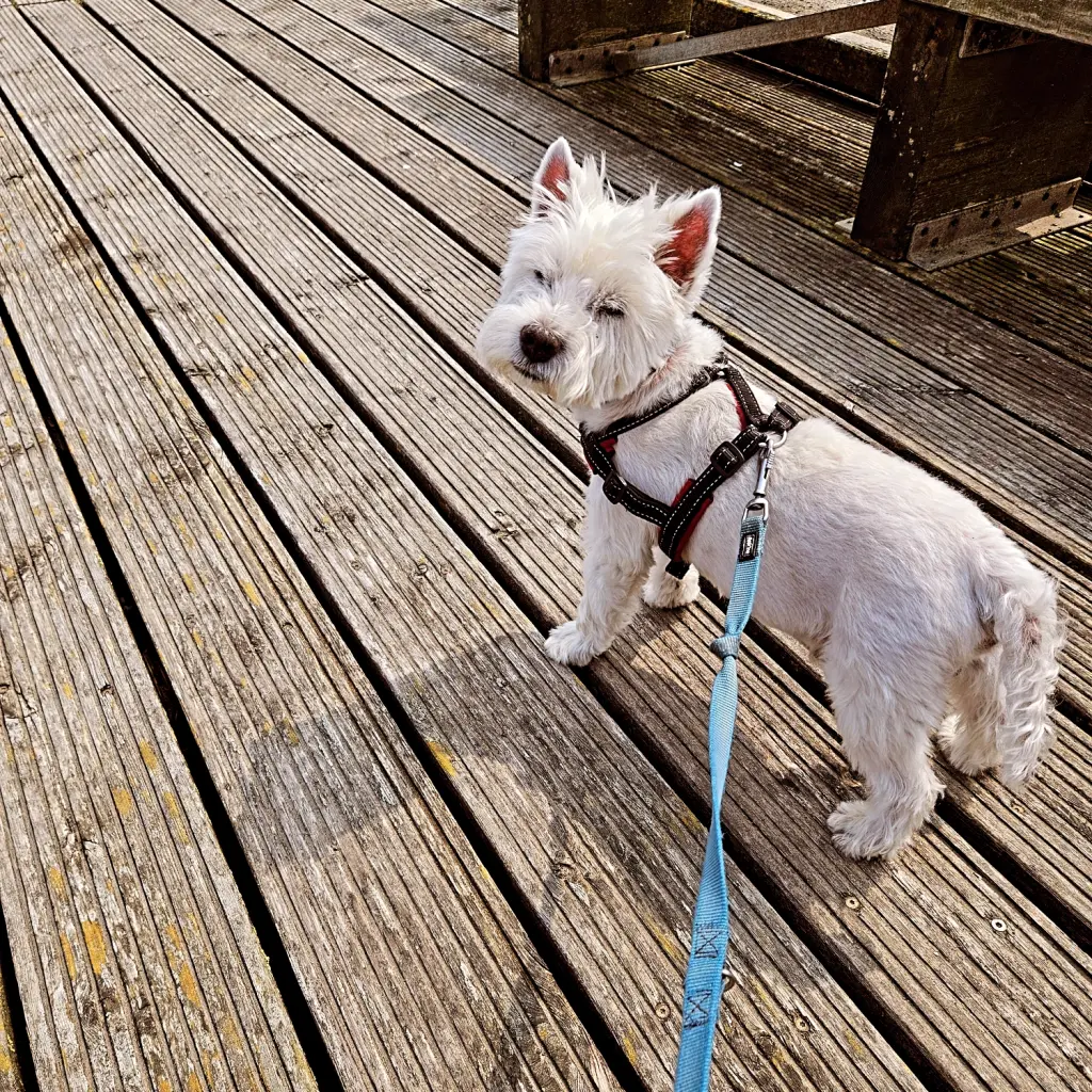 Bild von Theo