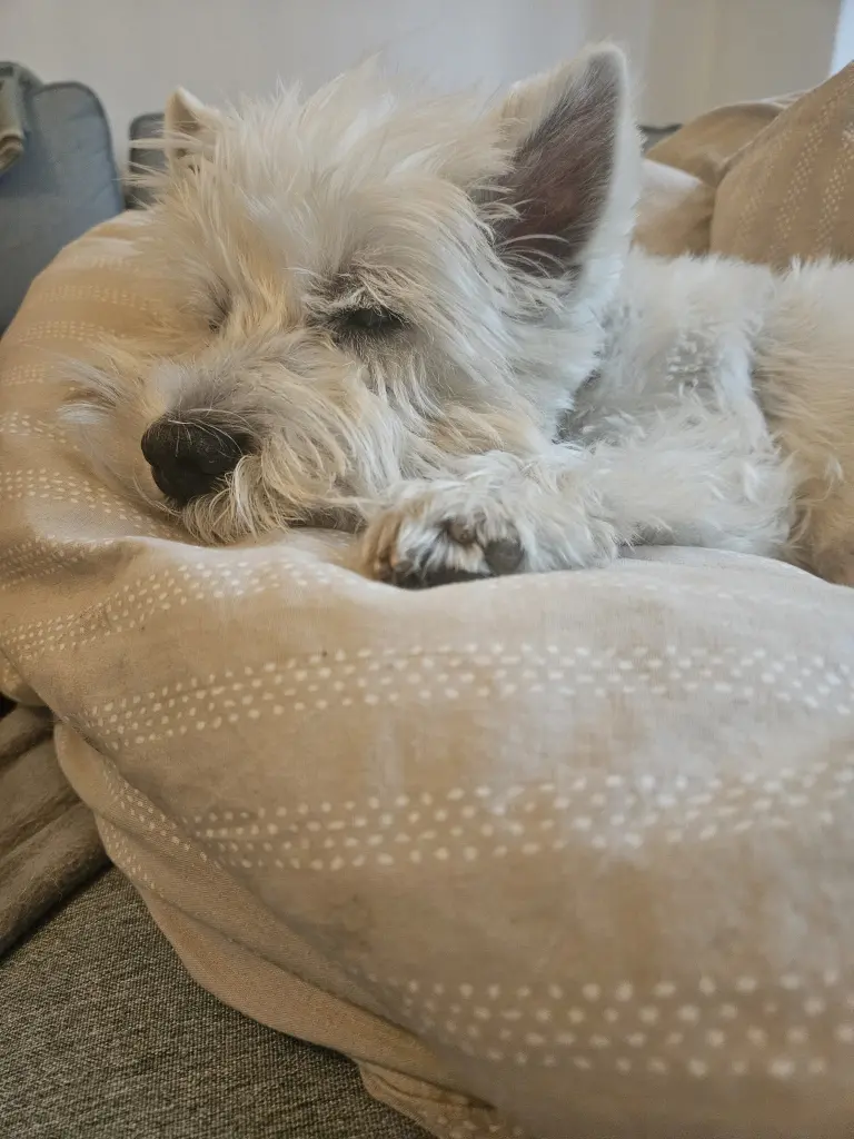Bild von Theo