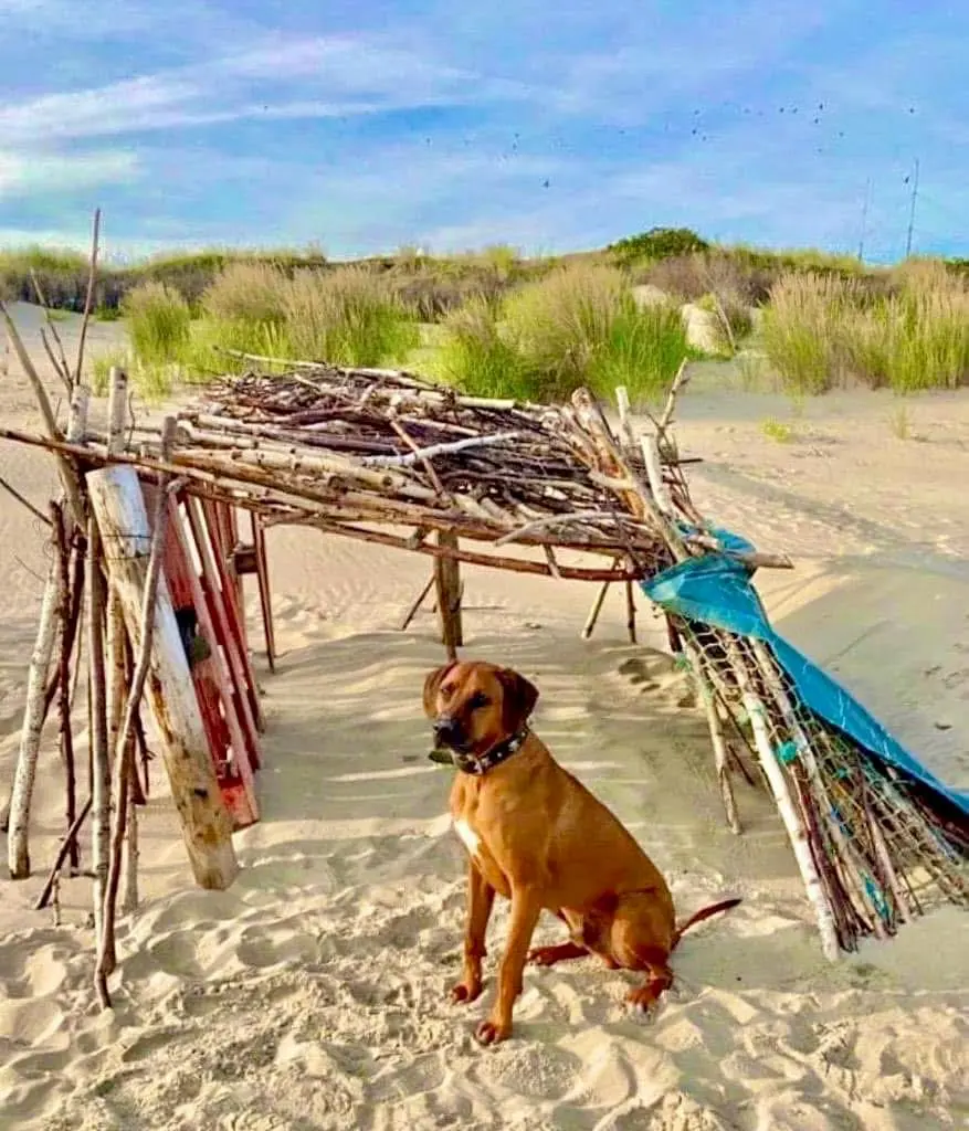 Deine Sandkiste auf Wangerooge ♥️