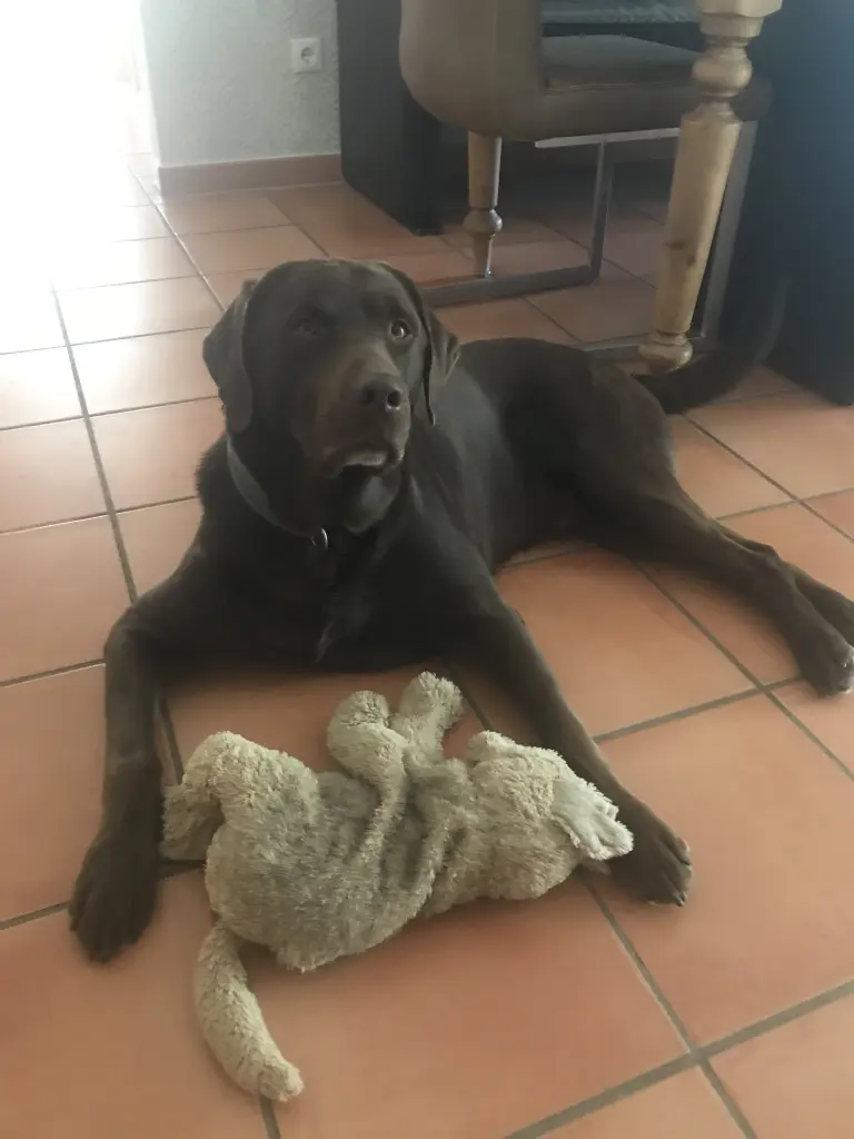Bild von George
