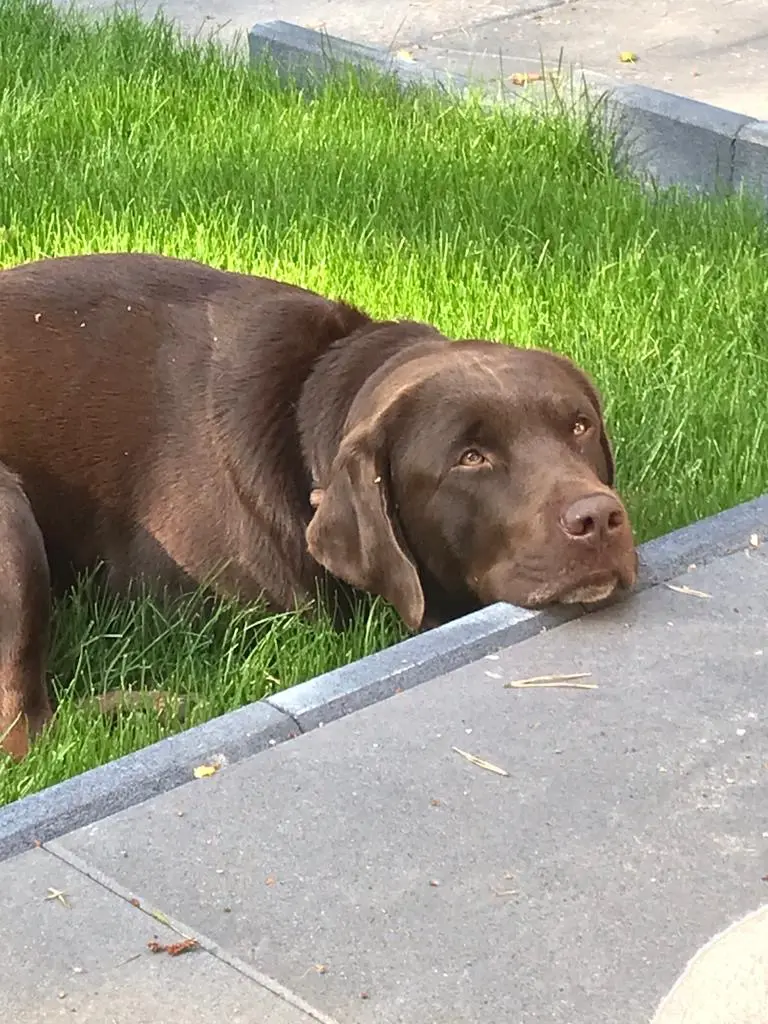 Bild von George