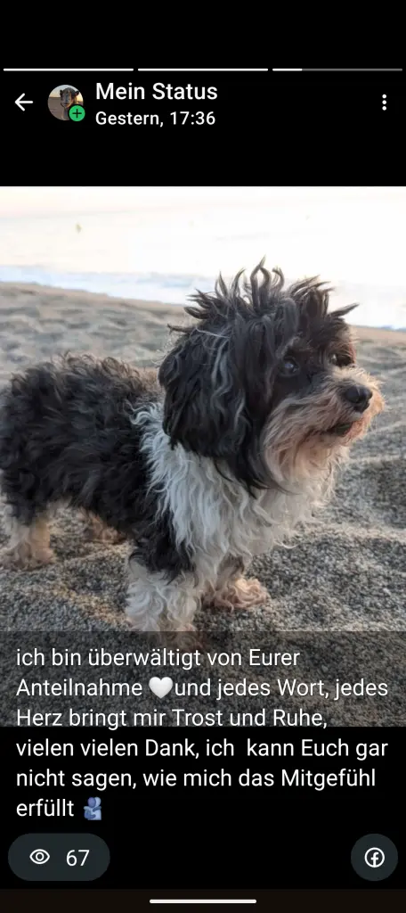 Bild von Paul