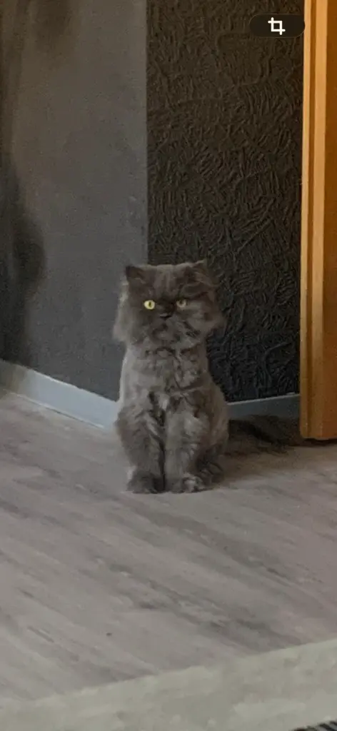 Andachtsbild von Mama