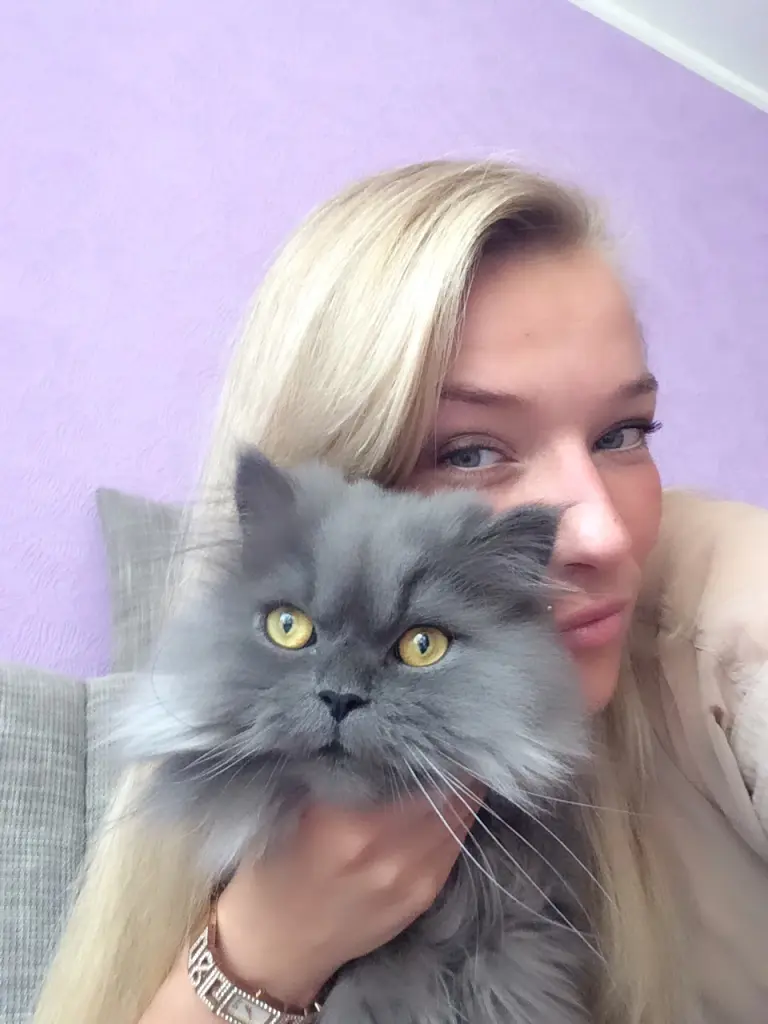 Bild von Schnibi