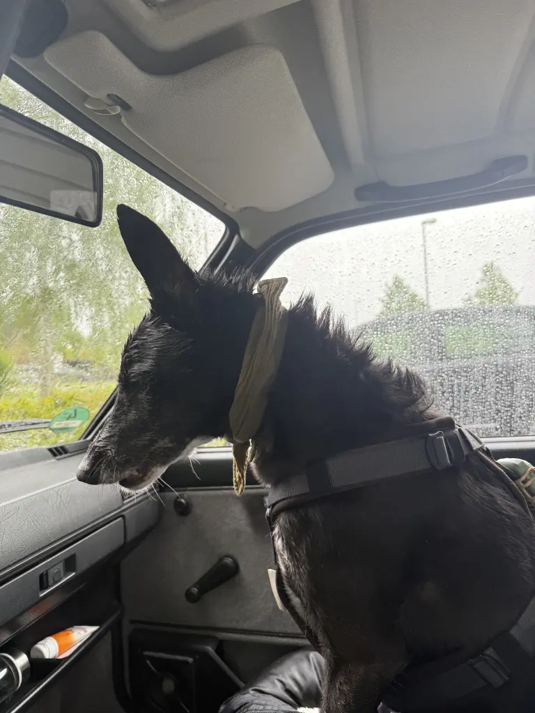 … dem Regen sind wir nicht entkommen