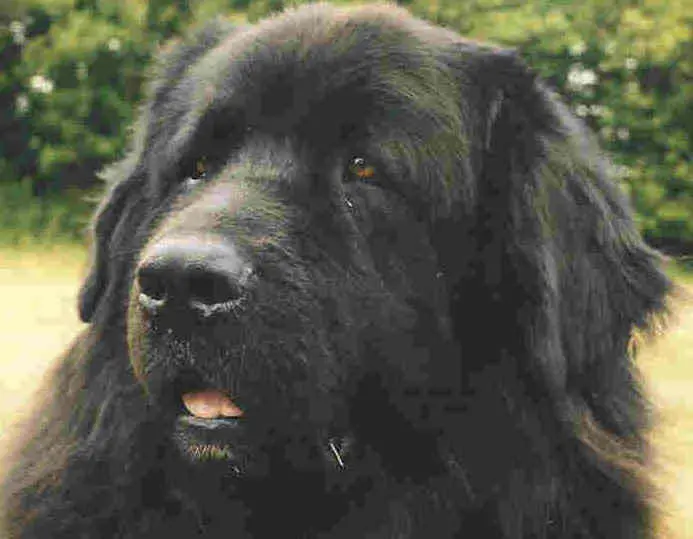 Condolence image of Eric
