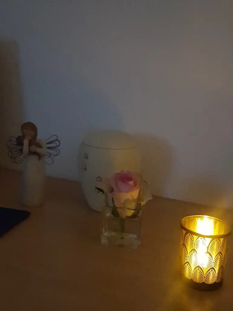 Condolence image of Unbekannt