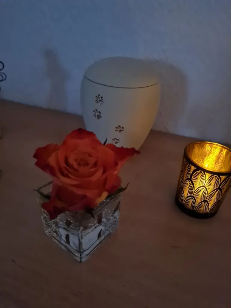 Condolence image of Unbekannt