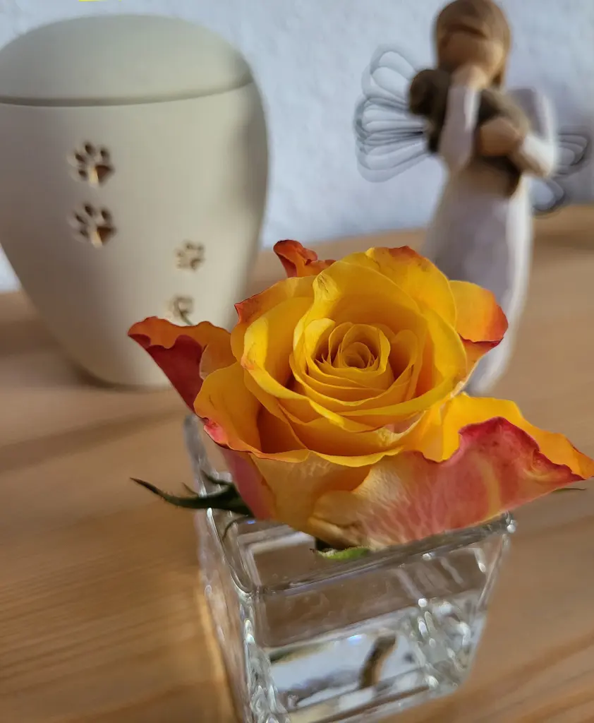 Condolence image of Unbekannt
