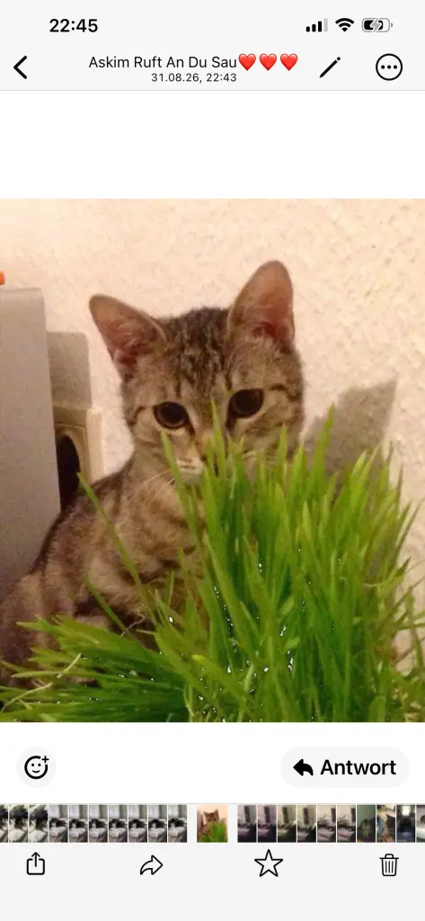 Bild von Mia