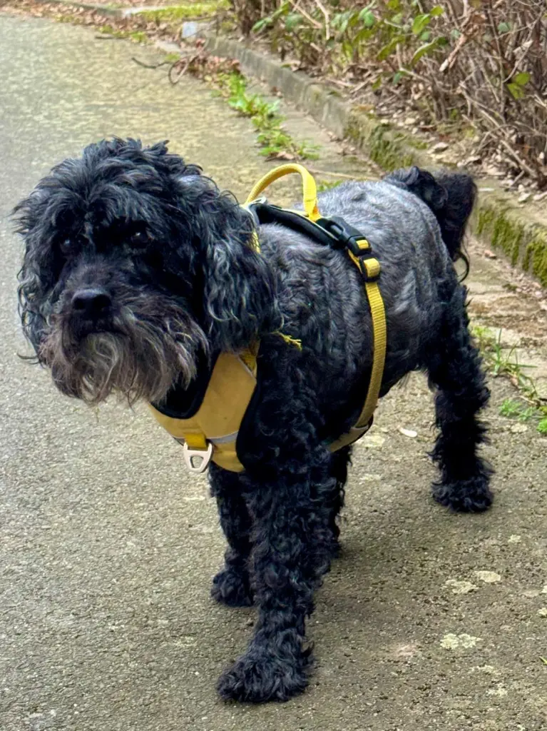 Andachtsbild von Nina Schramm