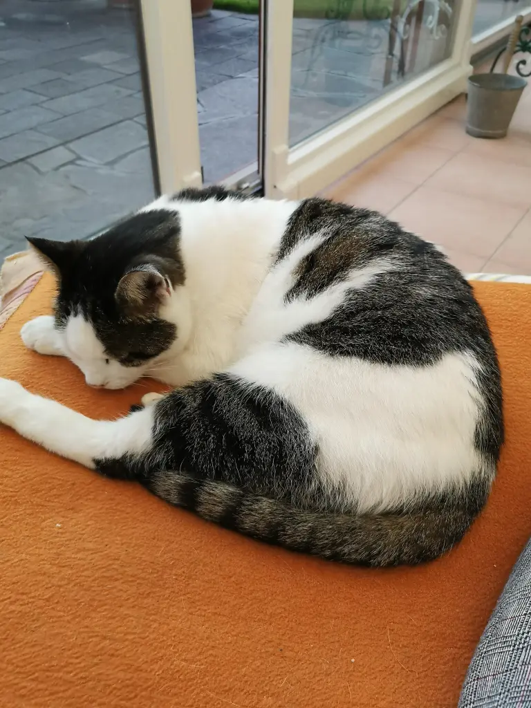 Andachtsbild von Irene mit Bobo tief im ❤️