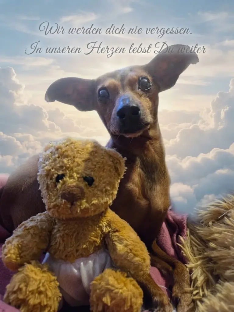 Bild von Lucy
