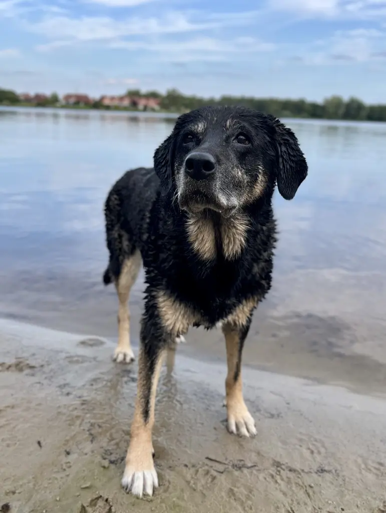 Bild von Leesha