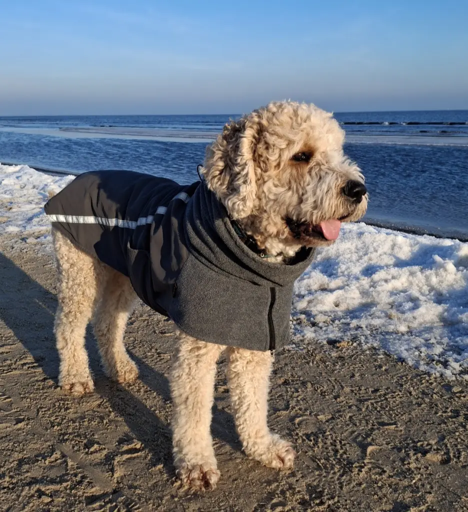 Er liebte das Meer..