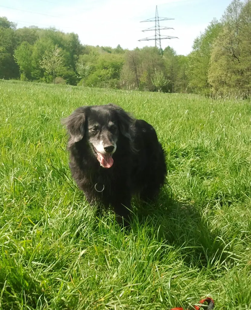 Image from Tilly