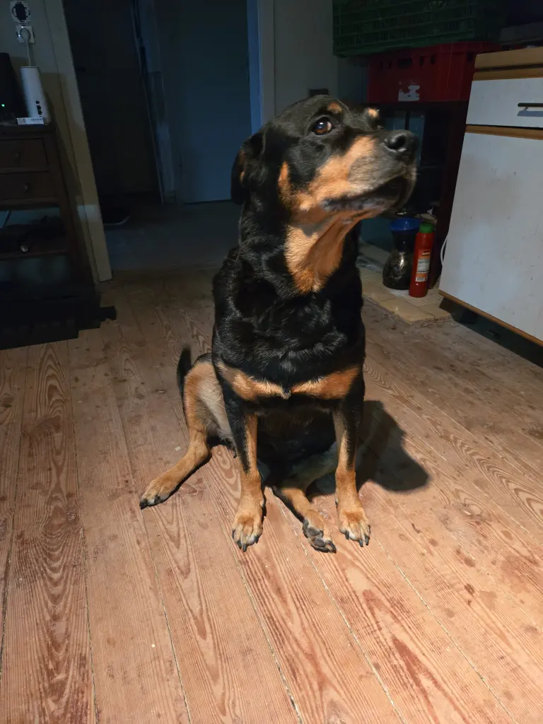 Bild von Freya