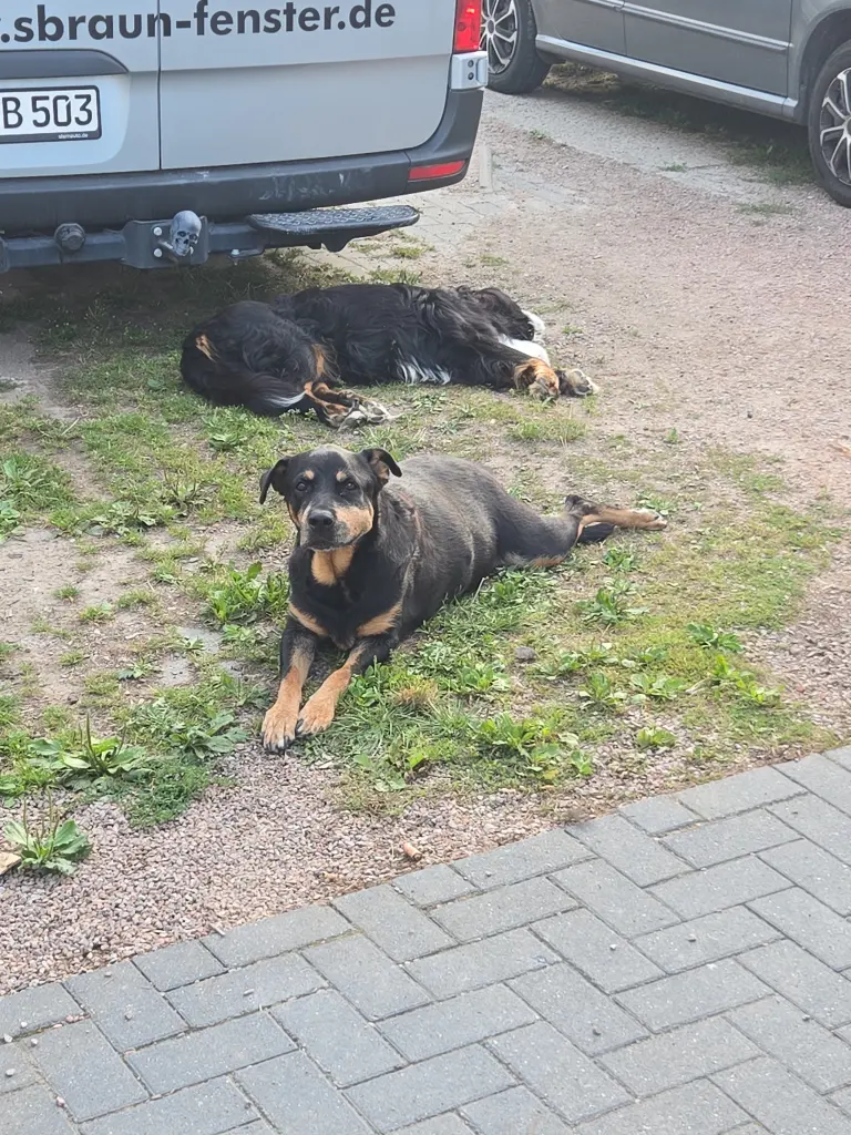 Image from Freya