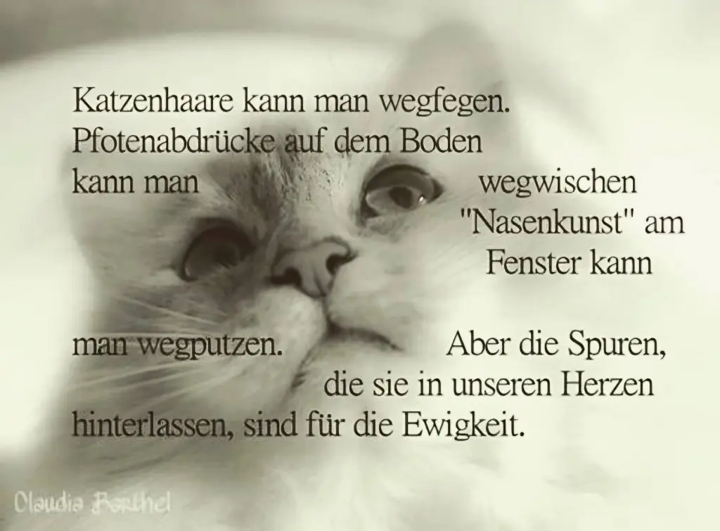 Andachtsbild von Nicole