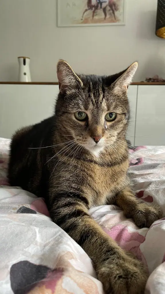 Bild von Baby