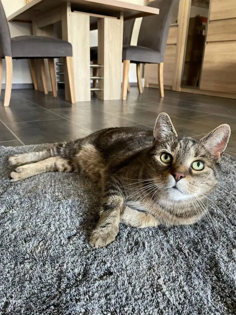 Bild von Baby