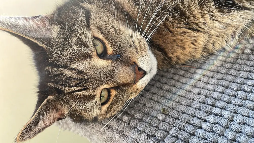 Bild von Baby