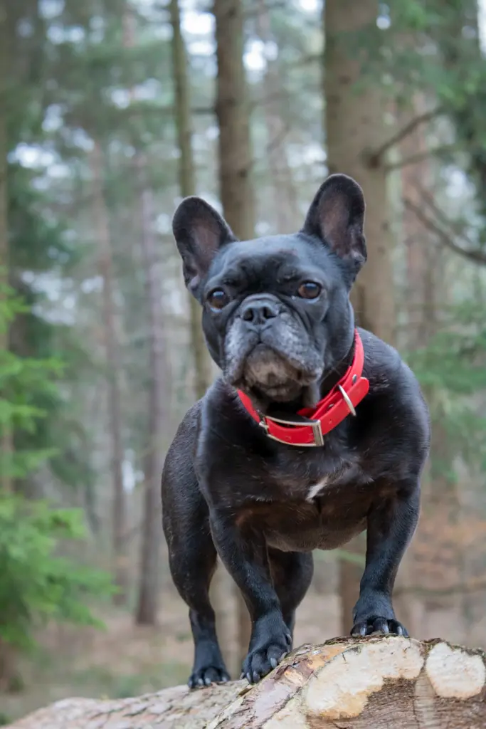 Bild von Maggie