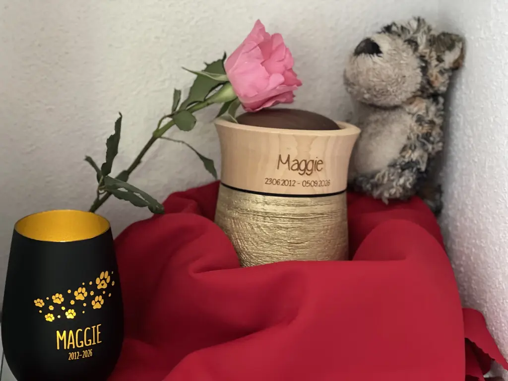 🥺🕯️♥️
Damit müssen wir nun klarkommen