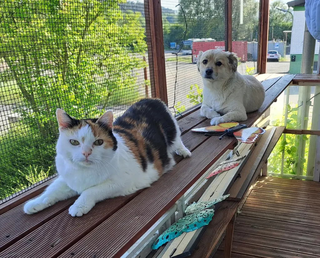 Mit deiner Freundin Marie. Dort habt ihr stundenlang gelegen.