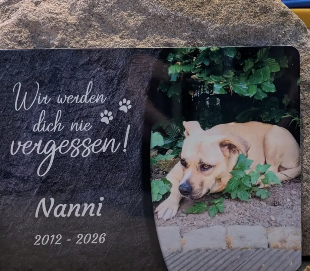Bild von Nanni
