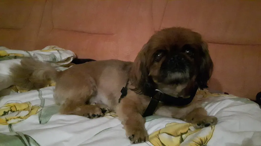 Condolence image of Sylvia