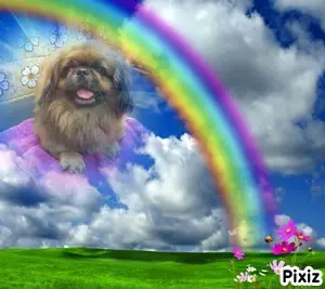 Condolence image of Sylvia