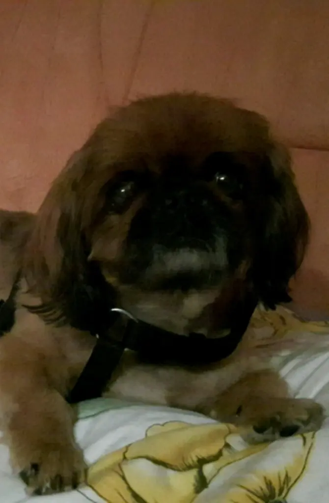Condolence image of Sylvia