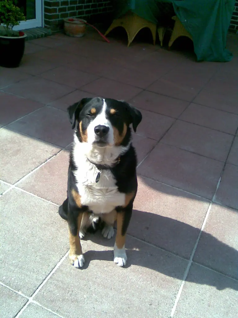 Condolence image of Marika