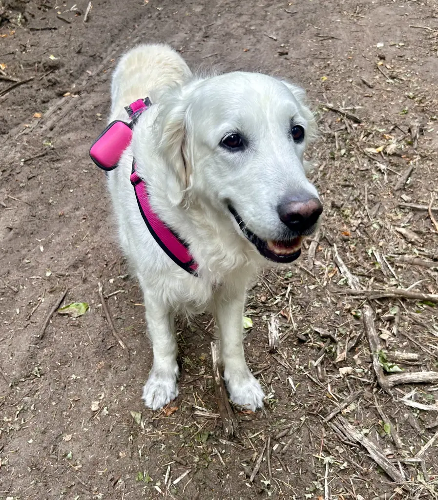 Bild von Sophie