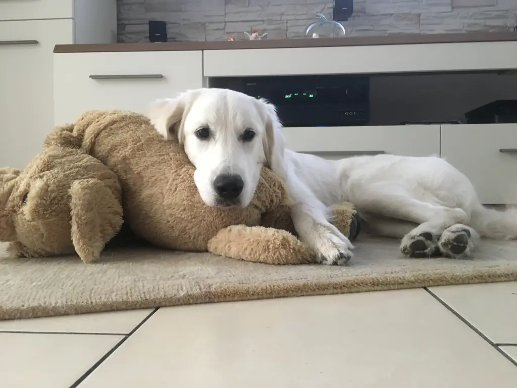 Bild von Sophie