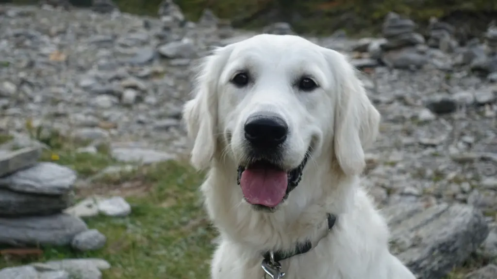 Bild von Sophie