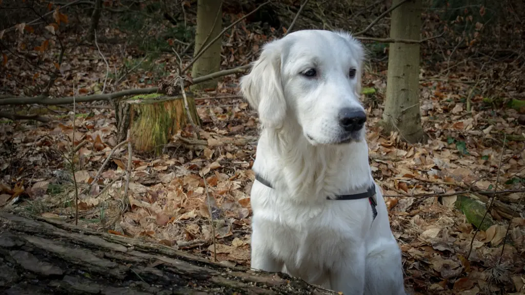 Bild von Sophie